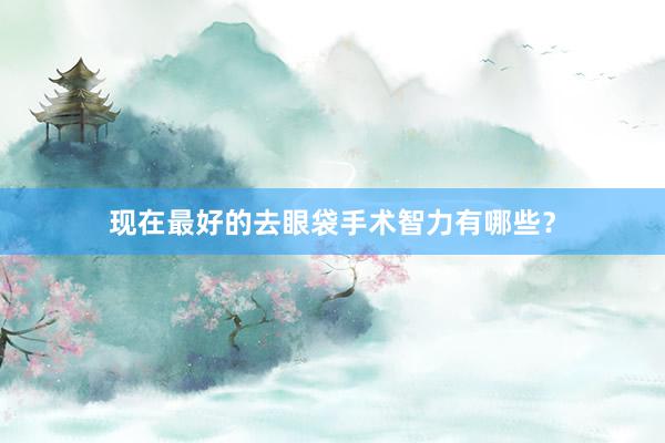 现在最好的去眼袋手术智力有哪些？