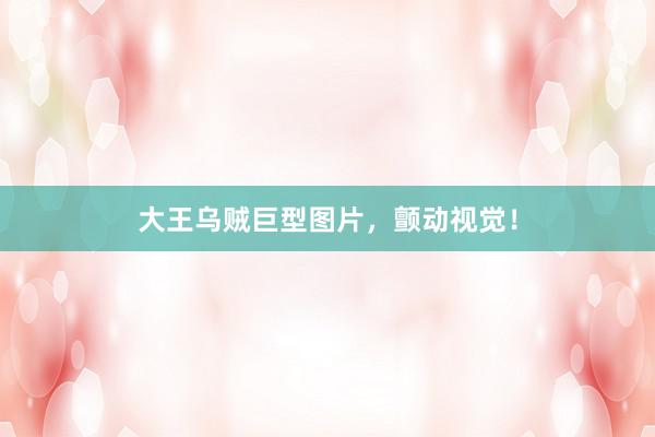 大王乌贼巨型图片，颤动视觉！