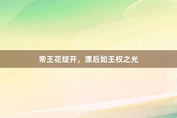帝王花绽开，漂后如王权之光