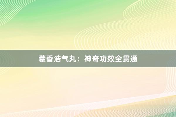 藿香浩气丸：神奇功效全贯通